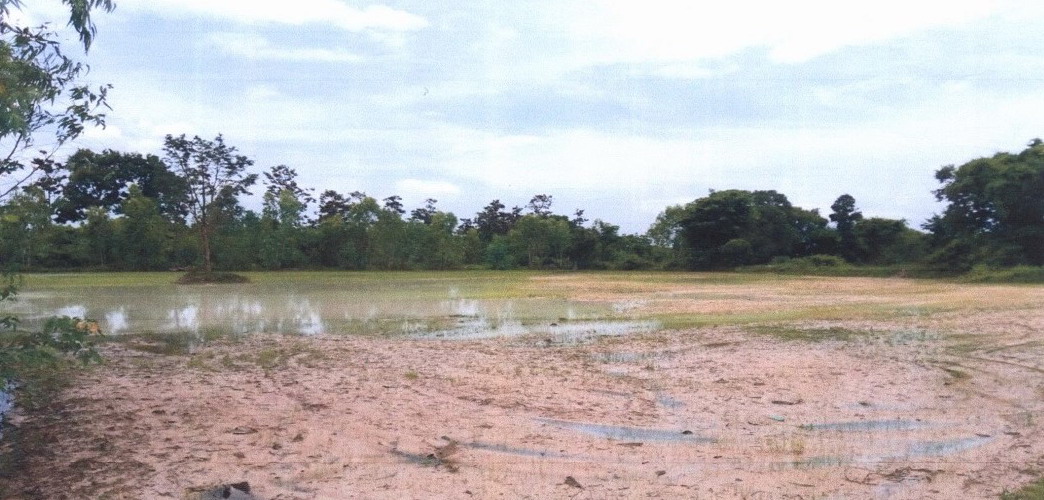 รูปที่ดินว่างเปล่า หนองช้างใหญ่ ม่วงสามสิบ อุบลราชธานี