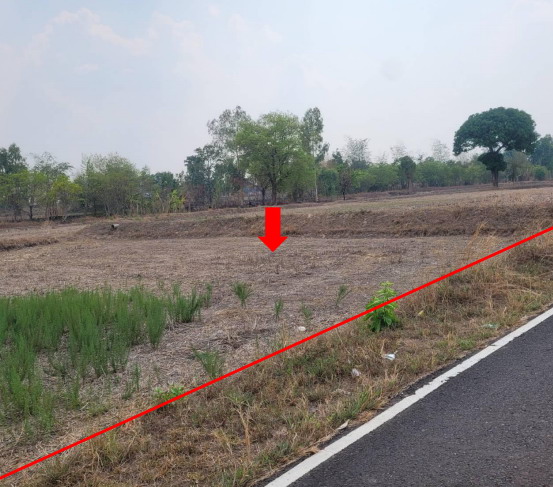 รูปที่ดินว่างเปล่า วาริน ศรีเมืองใหม่ อุบลราชธานี