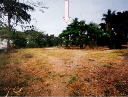 รูปที่ดินว่างเปล่า เกาะแก้ว เสลภูมิ ร้อยเอ็ด