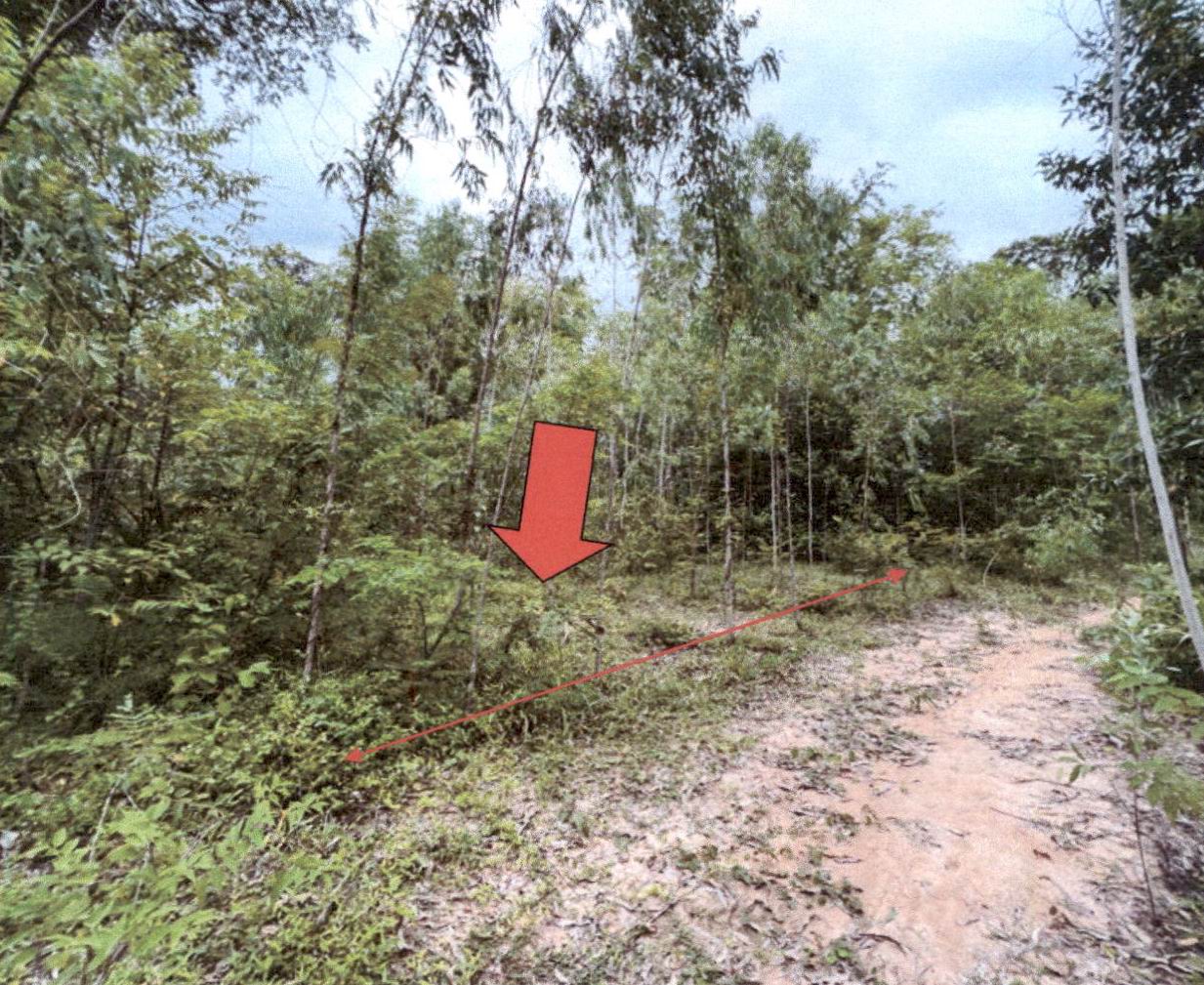 รูปที่ดินว่างเปล่า หนองไผ่ ธวัชบุรี ร้อยเอ็ด