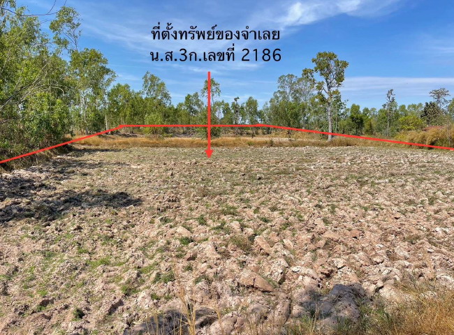 รูปที่ดินว่างเปล่า เตย ม่วงสามสิบ อุบลราชธานี