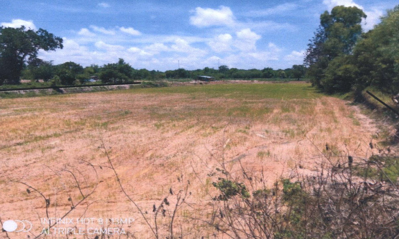 รูปที่ดินว่างเปล่า ยางโยภาพ ม่วงสามสิบ อุบลราชธานี