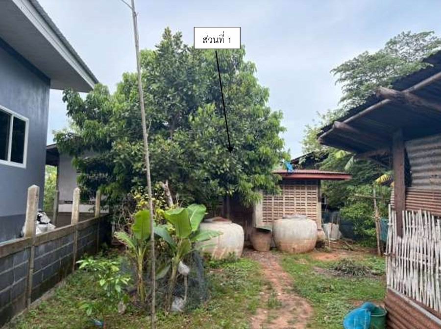 รูปที่ดินพร้อมสิ่งปลูกสร้าง เซเป็ด ตระการพืชผล อุบลราชธานี