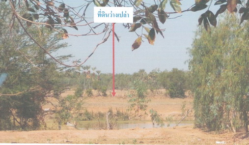 รูปที่ดินว่างเปล่า กำแพง เกษตรวิสัย ร้อยเอ็ด