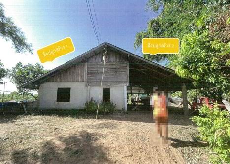 รูปที่ดินพร้อมสิ่งปลูกสร้าง ห้วยเม็ก ห้วยเม็ก กาฬสินธุ์