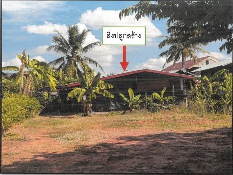 รูปที่ดินพร้อมสิ่งปลูกสร้าง หนองผือ เขาวง กาฬสินธุ์