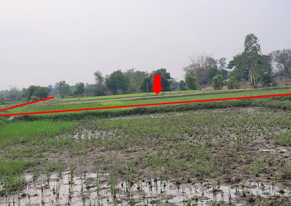 รูปที่ดินว่างเปล่า ท่าเมือง ดอนมดแดง อุบลราชธานี