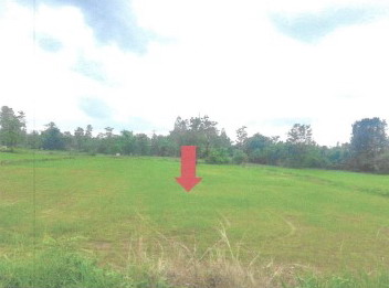 รูปที่ดินว่างเปล่า จำปาโมง บ้านผือ อุดรธานี