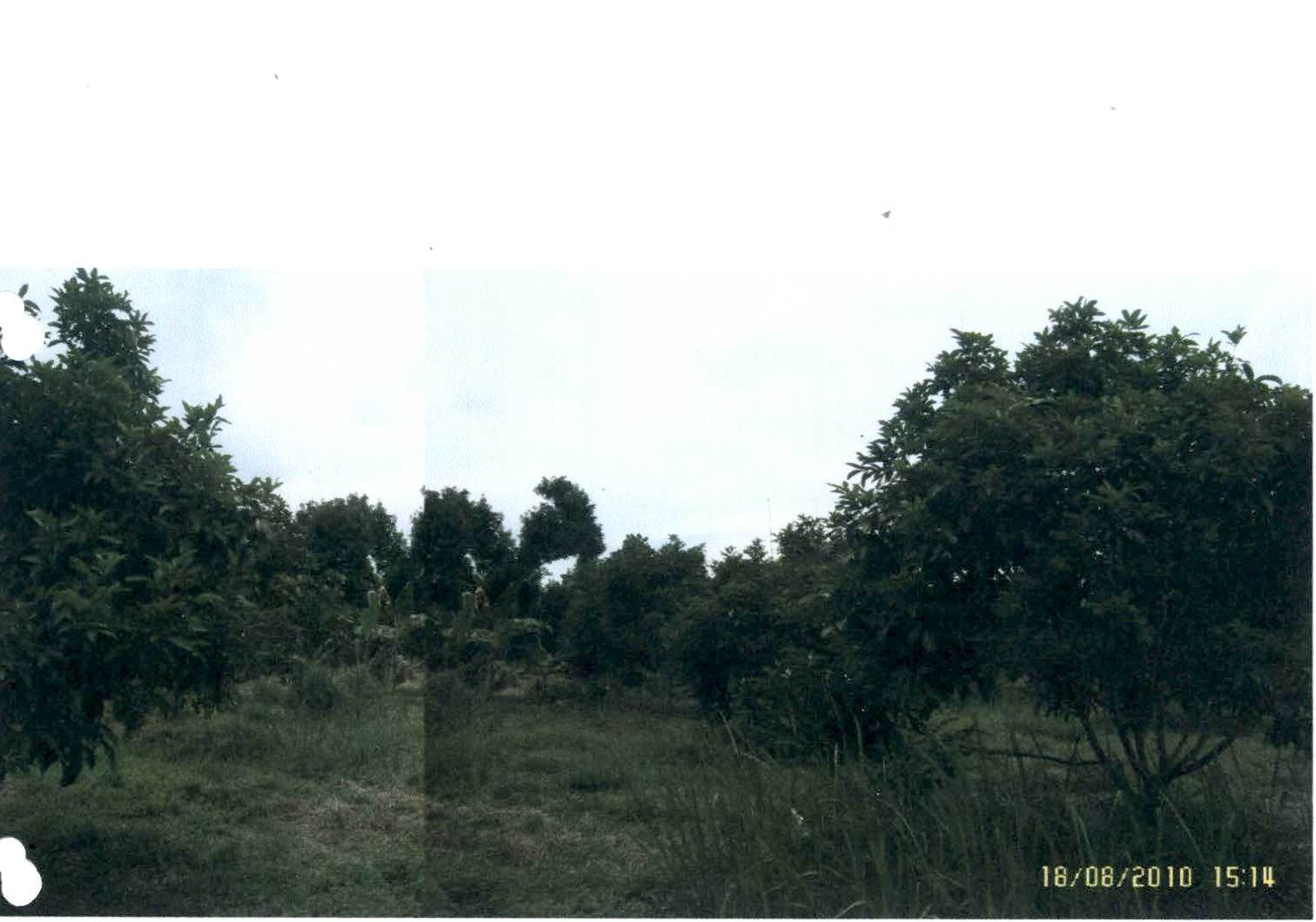 รูปที่ดินว่างเปล่า ตะเคียนทอง เขาคิชฌกูฏ จันทบุรี