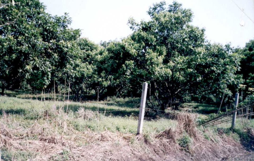 รูปที่ดินว่างเปล่า วังแซ้ม มะขาม จันทบุรี