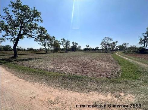รูปที่ดินว่างเปล่า สงเปือย คำเขื่อนแก้ว ยโสธร