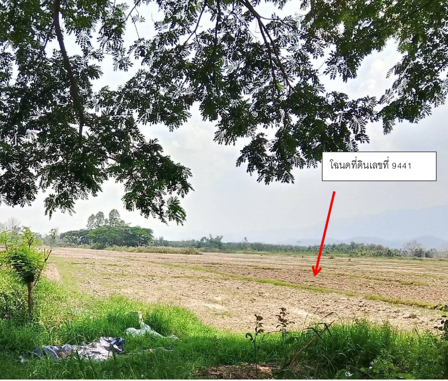รูปที่ดินว่างเปล่า ห้วยแก้ว ภูกามยาว พะเยา