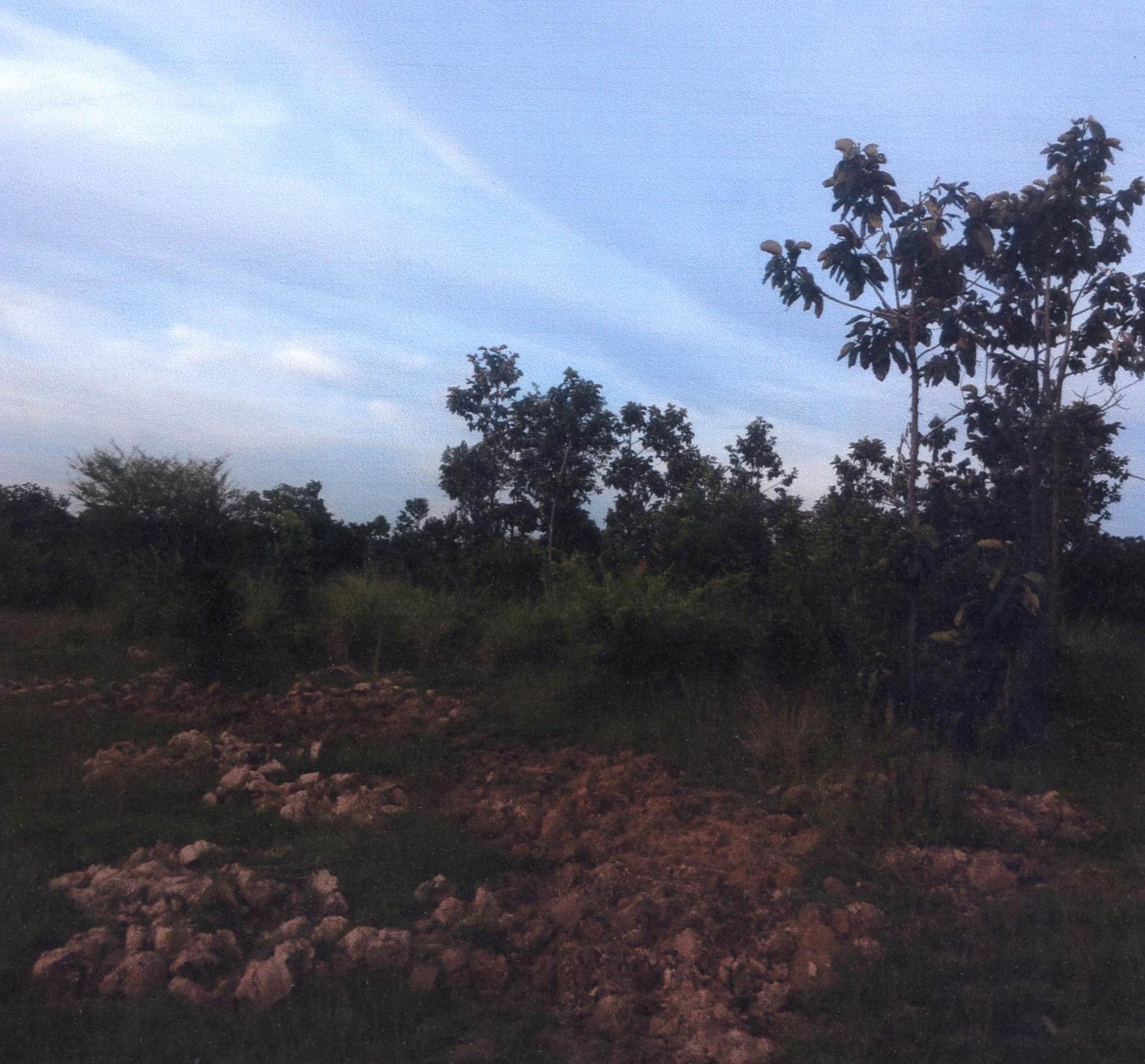 รูปที่ดินว่างเปล่า เมืองเดช เดชอุดม อุบลราชธานี