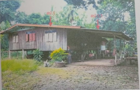 รูปที่ดินพร้อมสิ่งปลูกสร้าง นายม เมืองเพชรบูรณ์ เพชรบูรณ์
