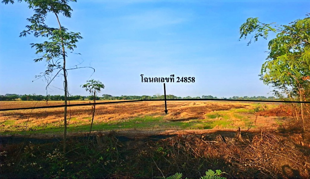 รูปที่ดินว่างเปล่า ทะนง โพทะเล พิจิตร