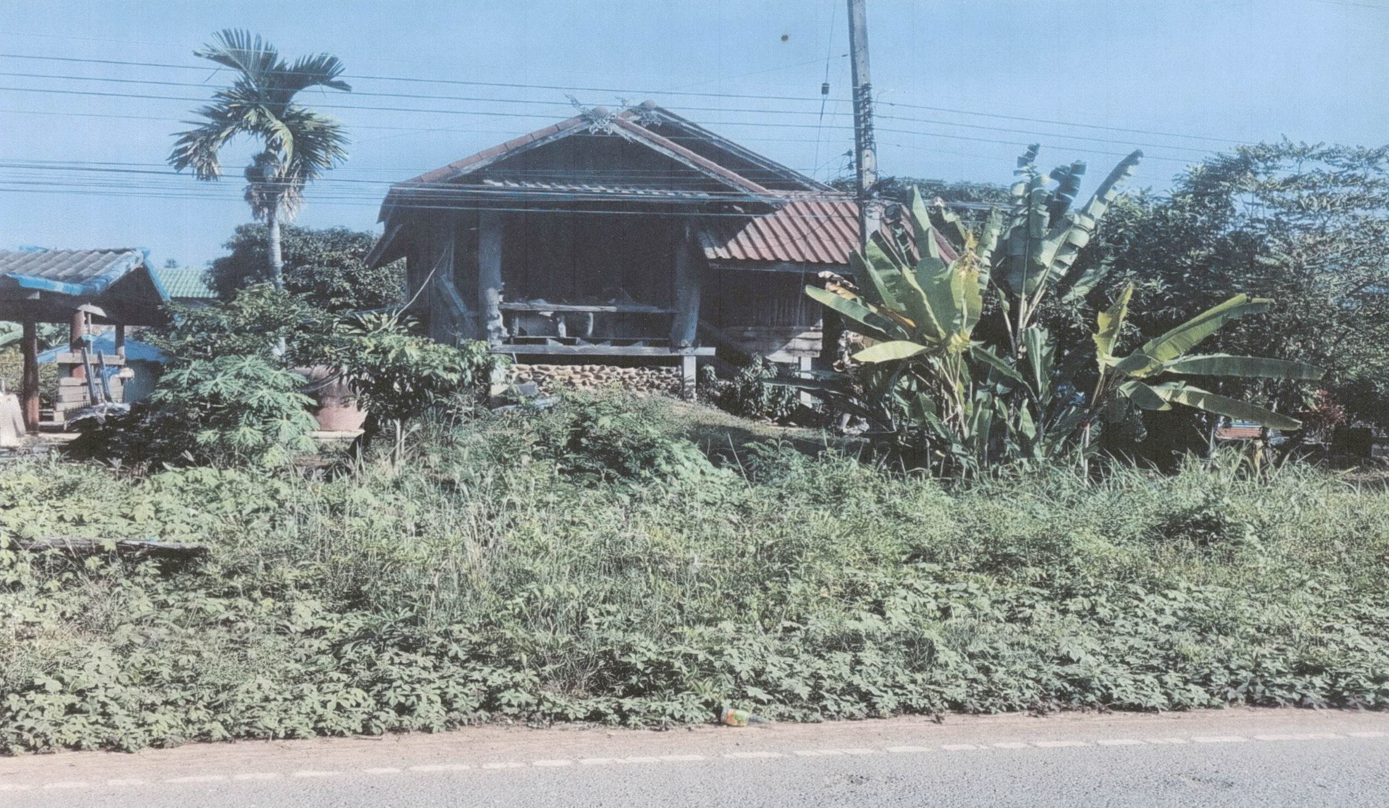 รูปที่ดินพร้อมสิ่งปลูกสร้าง วังท่าดี หนองไผ่ เพชรบูรณ์