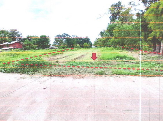 รูปที่ดินว่างเปล่า วังหว้า ตะพานหิน พิจิตร
