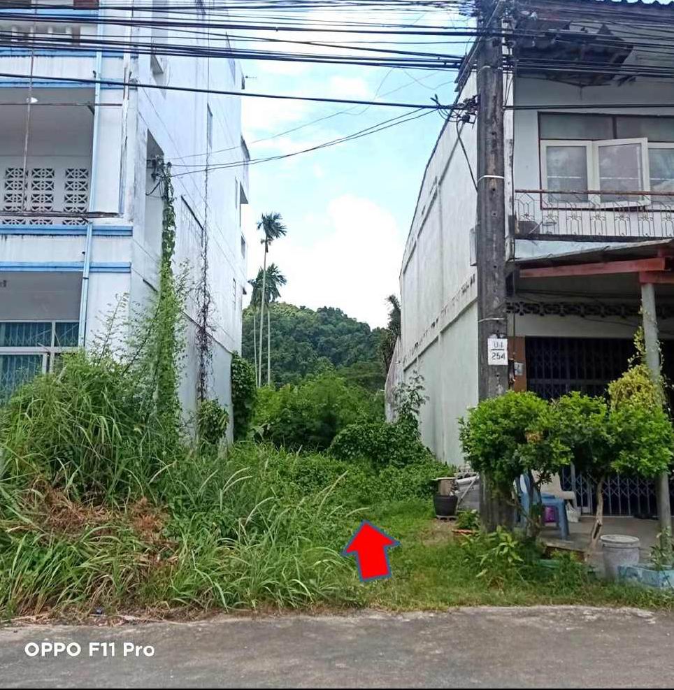 รูปที่ดินว่างเปล่า ปากแพรก ทุ่งสง นครศรีธรรมราช