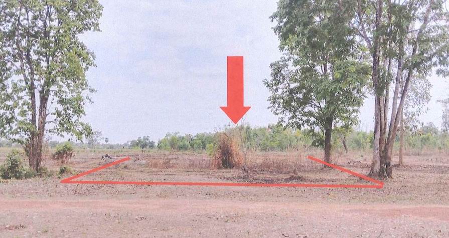 รูปที่ดินว่างเปล่า วัดธาตุ เมืองหนองคาย หนองคาย