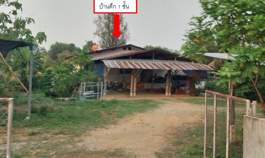 รูปที่ดินพร้อมสิ่งปลูกสร้าง แม่ยาว เมืองเชียงราย เชียงราย