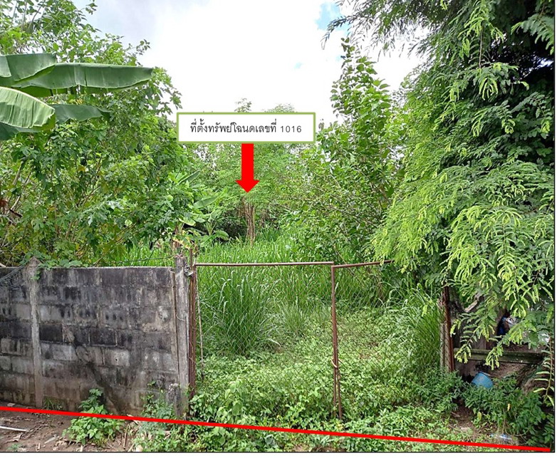 รูปที่ดินว่างเปล่า เปือย ลืออำนาจ อำนาจเจริญ