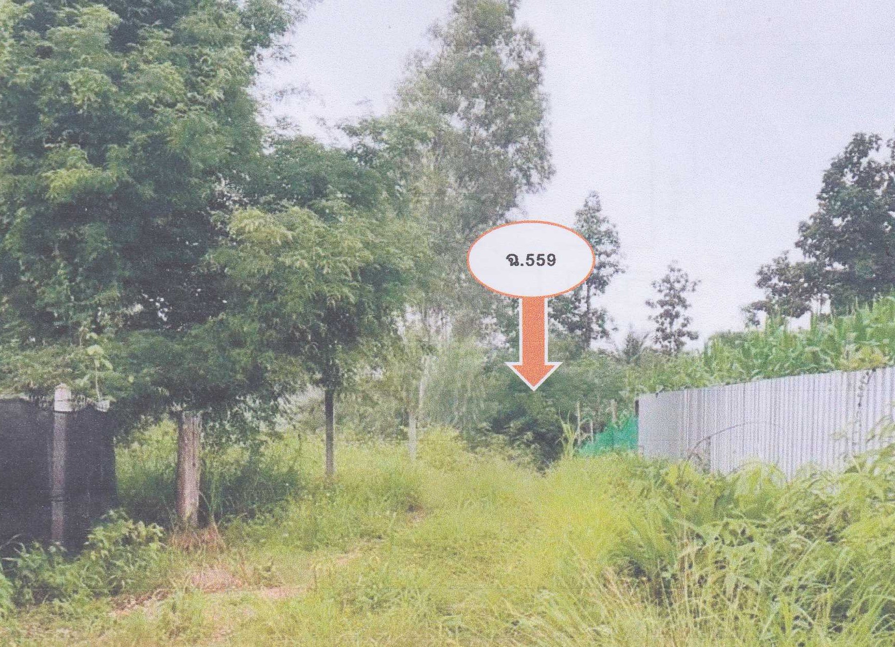 รูปที่ดินว่างเปล่า พบพระ พบพระ ตาก