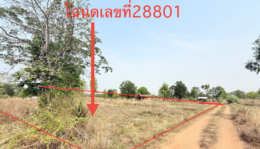 รูปที่ดินว่างเปล่า ท่าลาด ชุมพวง นครราชสีมา
