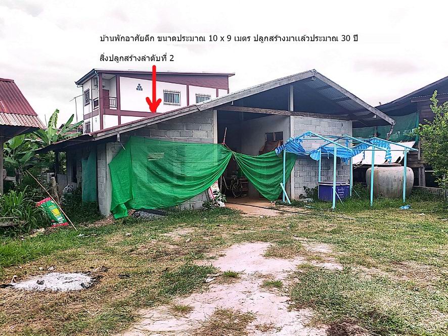 รูปที่ดินพร้อมสิ่งปลูกสร้าง ปลาค้าว เมืองอำนาจเจริญ อำนาจเจริญ