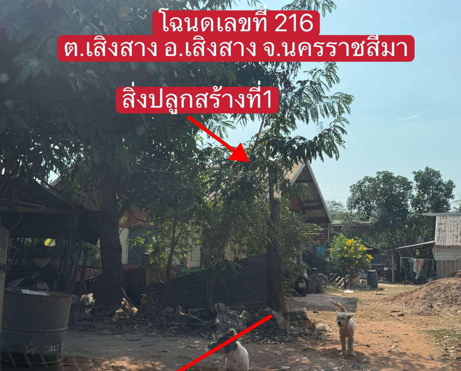 รูปที่ดินพร้อมสิ่งปลูกสร้าง เสิงสาง เสิงสาง นครราชสีมา