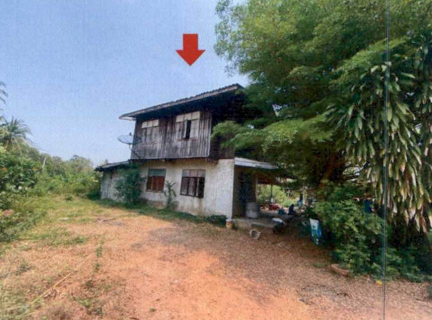 รูปที่ดินพร้อมสิ่งปลูกสร้าง นางรอง นางรอง บุรีรัมย์