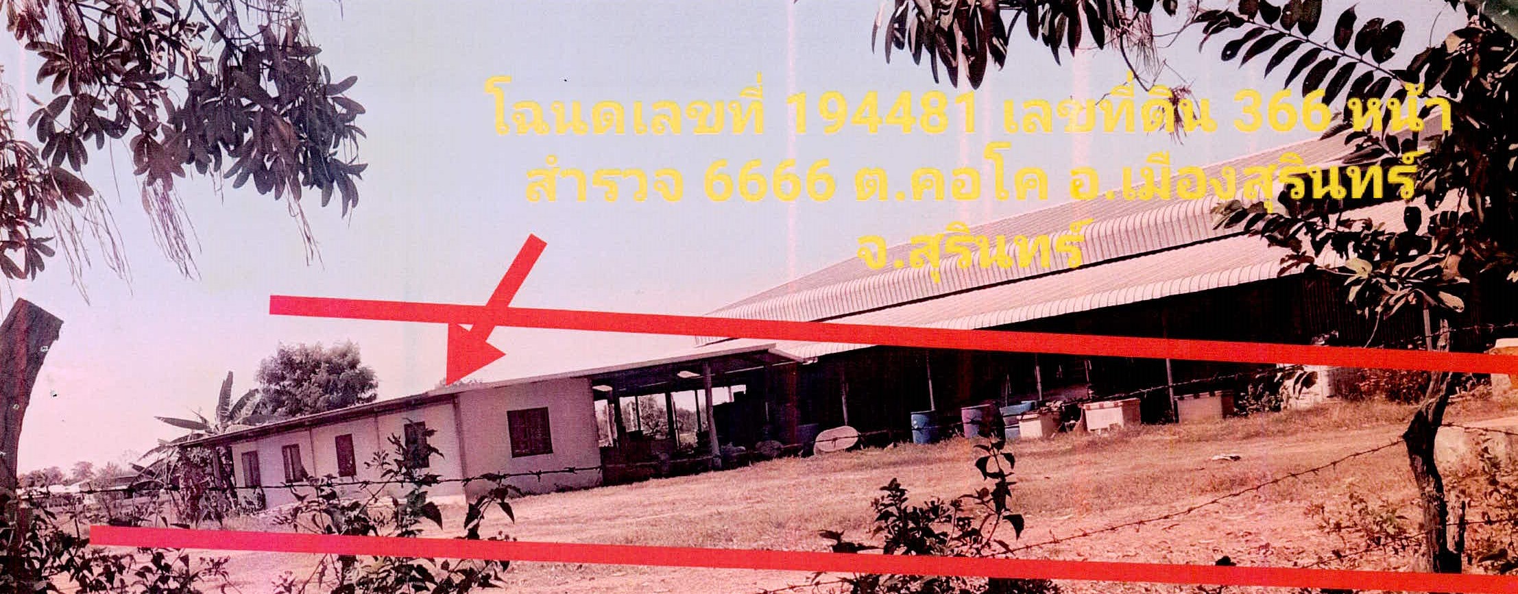 รูปที่ดินพร้อมสิ่งปลูกสร้าง คอโค เมืองสุรินทร์ สุรินทร์