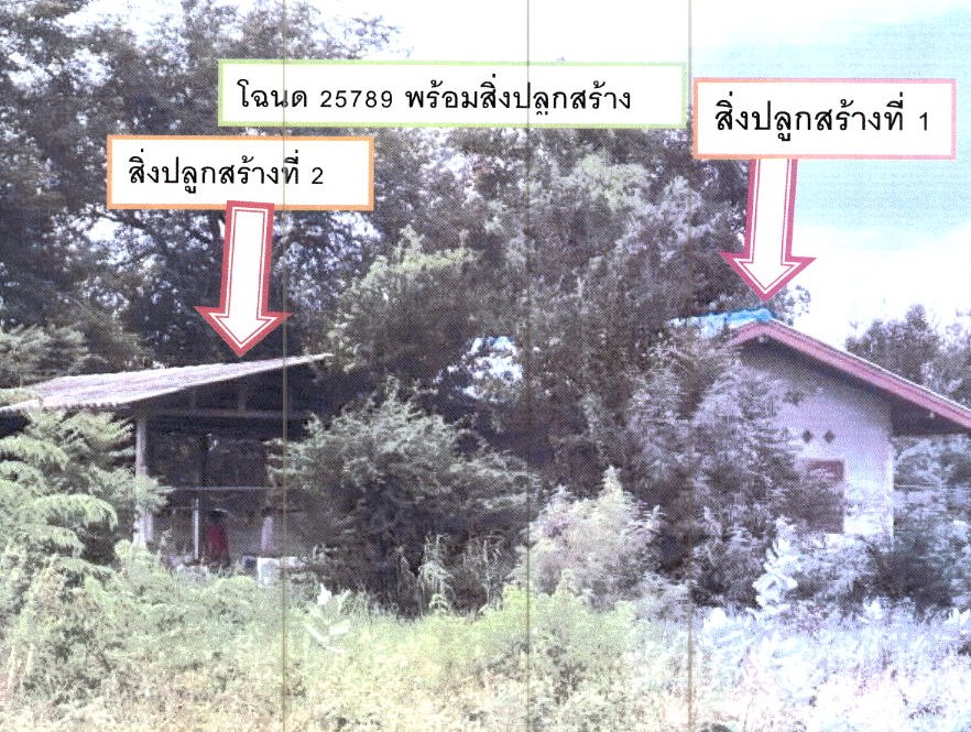รูปที่ดินพร้อมสิ่งปลูกสร้าง ไร่รถ ดอนเจดีย์ สุพรรณบุรี