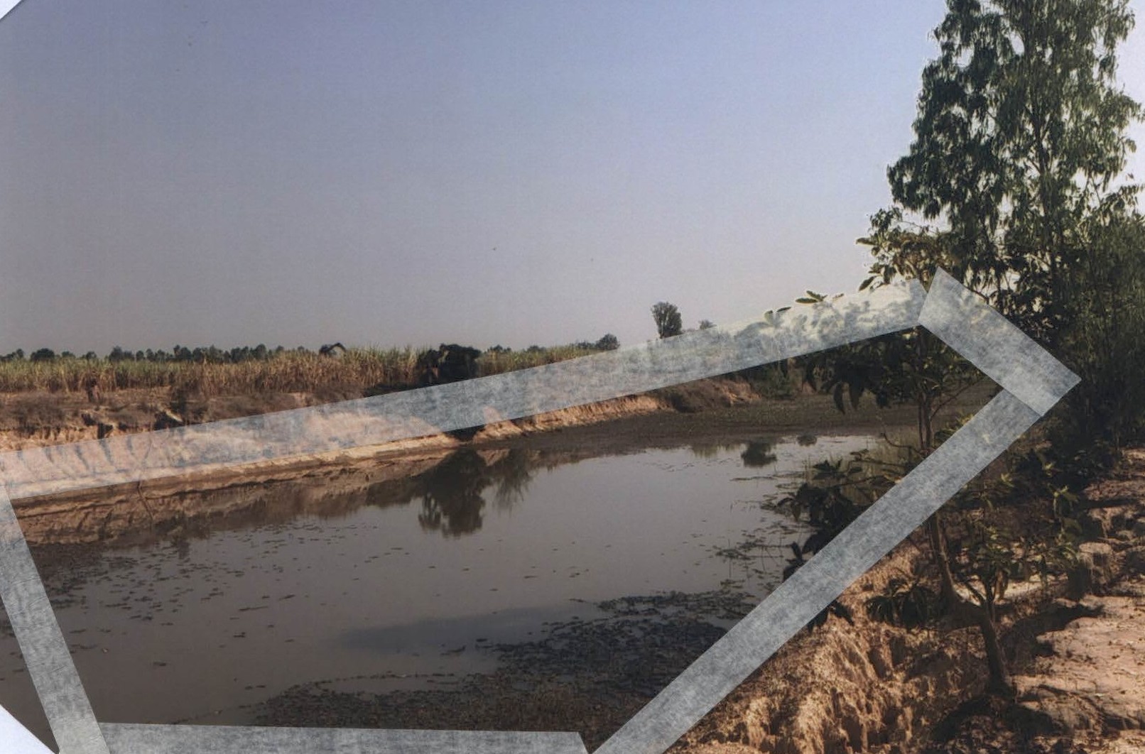รูปที่ดินว่างเปล่า หนองหลุม วชิรบารมี พิจิตร