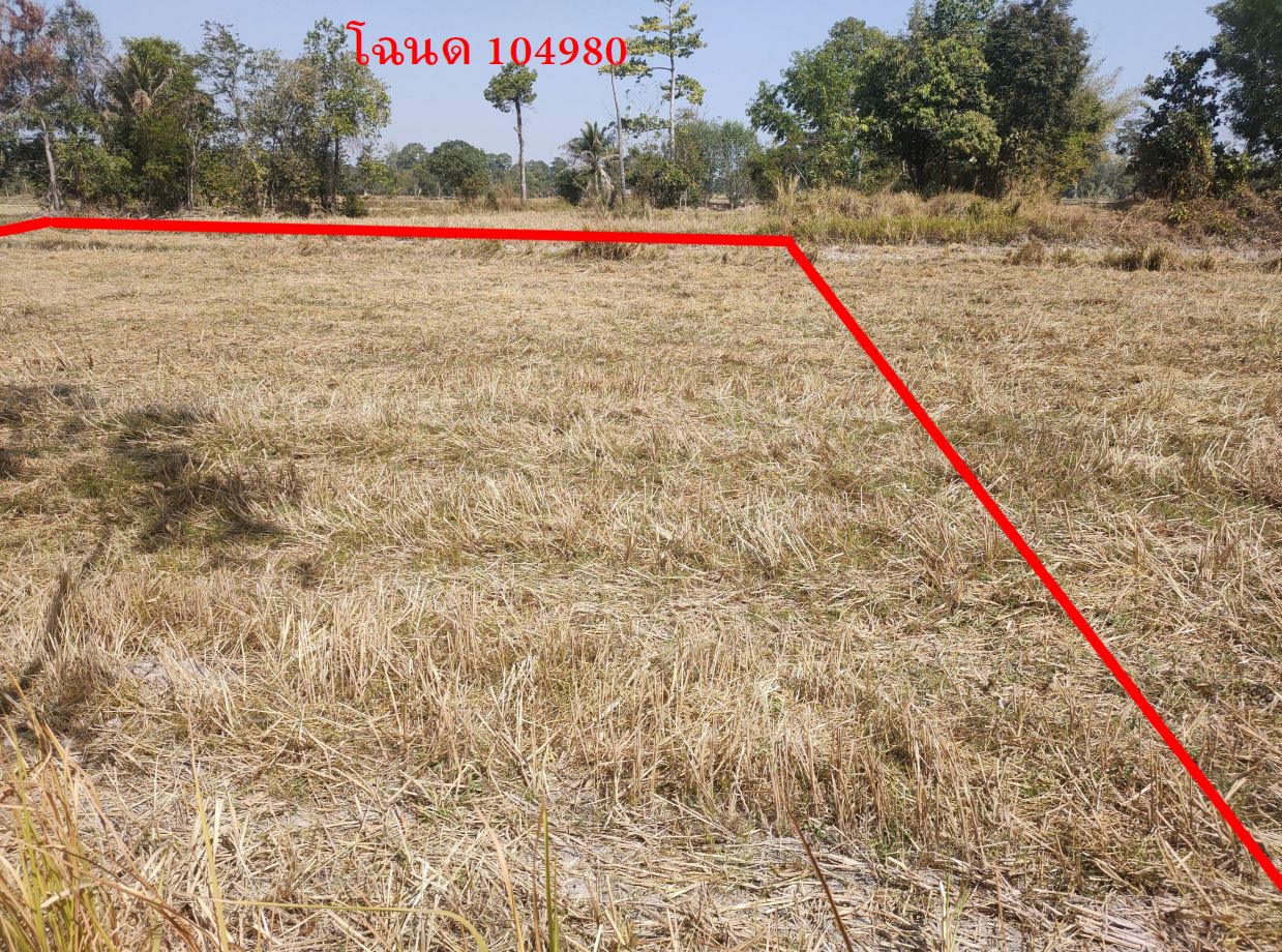 รูปที่ดินว่างเปล่า ขั้นไดใหญ่ เมืองยโสธร ยโสธร
