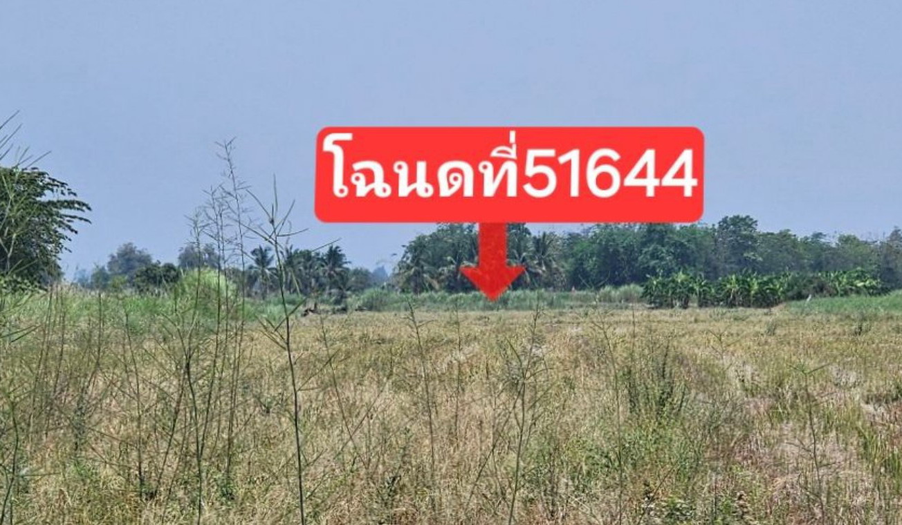 รูปที่ดินว่างเปล่า ยางซ้าย เมือง สุโขทัย