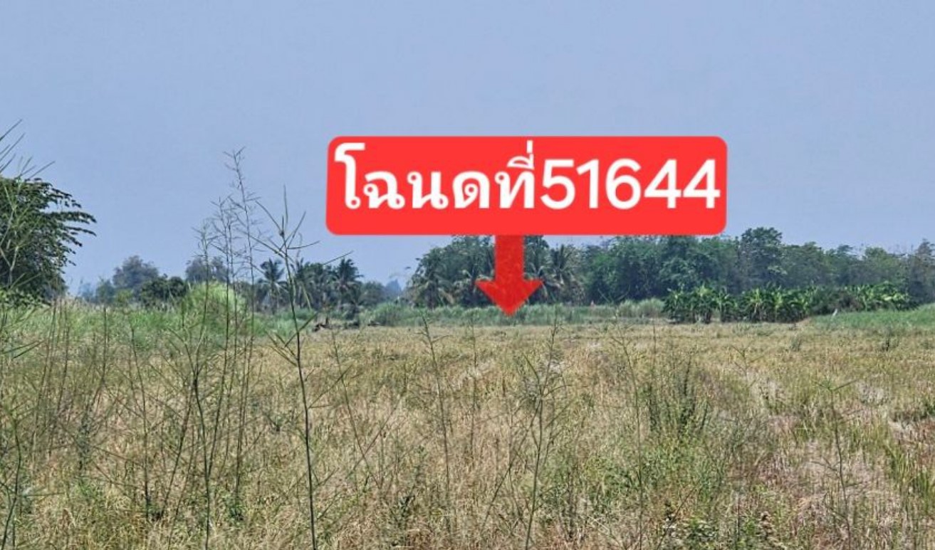 รูปที่ดินว่างเปล่า ยางซ้าย เมืองสุโขทัย สุโขทัย