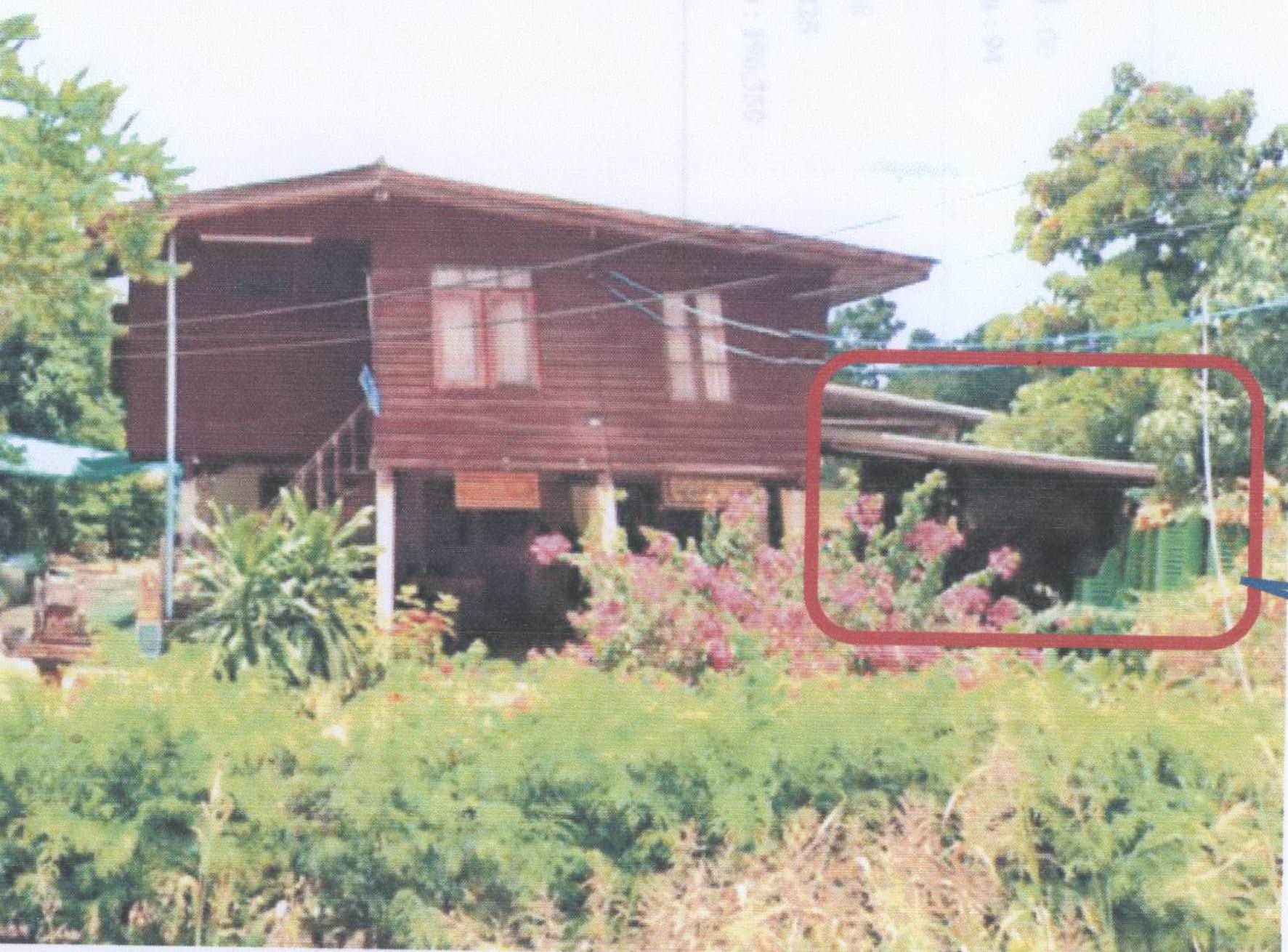 รูปที่ดินพร้อมสิ่งปลูกสร้าง ตะกุดไร ชนแดน เพชรบูรณ์