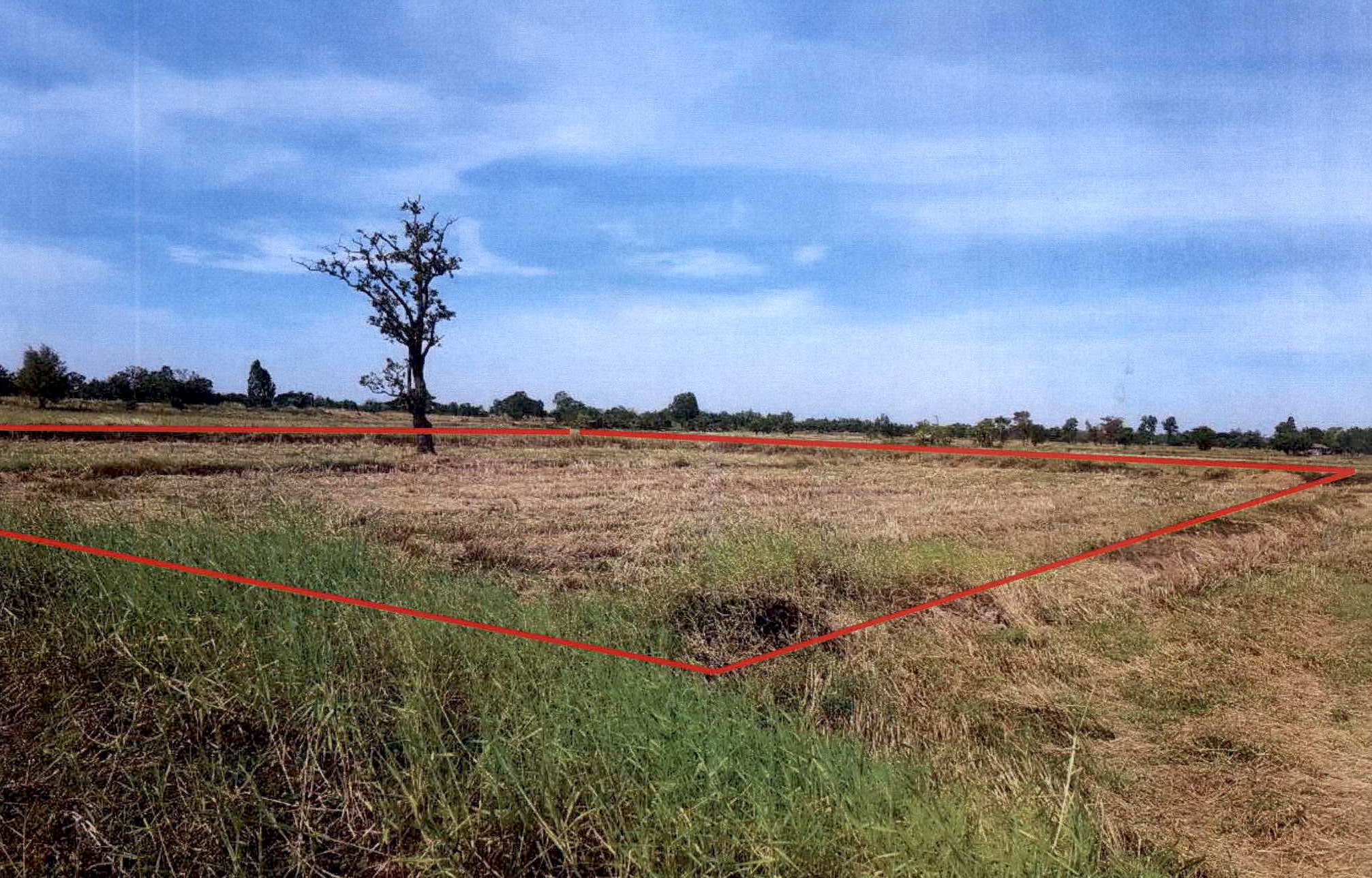 รูปที่ดินว่างเปล่า หลุบ เมืองกาฬสินธุ์ กาฬสินธุ์