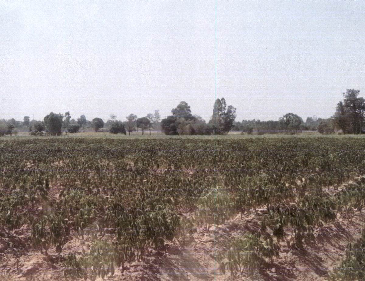 รูปที่ดินว่างเปล่า กุดจิก ท่าคันโท กาฬสินธุ์