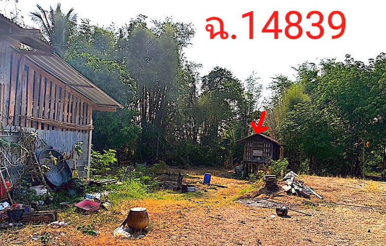 รูปที่ดินพร้อมสิ่งปลูกสร้าง นามะเขือ สหัสขันธ์ กาฬสินธุ์