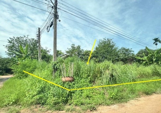 รูปที่ดินว่างเปล่า วังทอง บ้านดุง อุดรธานี