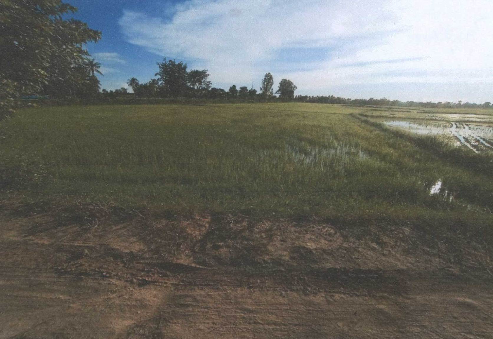 รูปที่ดินว่างเปล่า หลุบ เมืองกาฬสินธุ์ กาฬสินธุ์