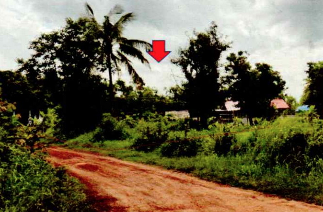 รูปที่ดินว่างเปล่า หนองพอก หนองพอก ร้อยเอ็ด