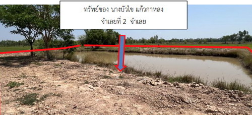 รูปที่ดินว่างเปล่า พระเจ้า เชียงขวัญ ร้อยเอ็ด