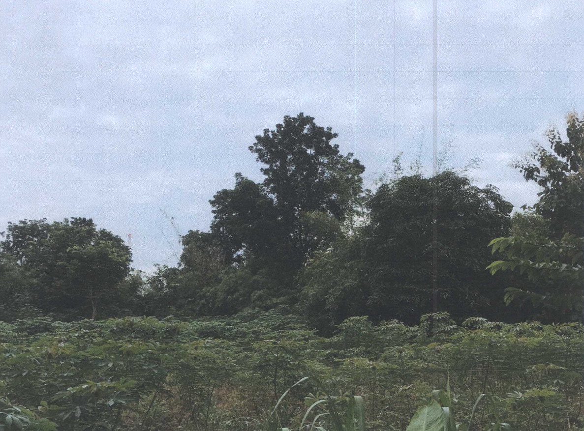 รูปที่ดินว่างเปล่า วังชัย น้ำพอง ขอนแก่น