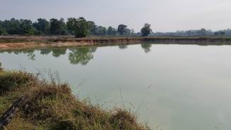 รูปที่ดินว่างเปล่า ขามใหญ่ เมืองอุบลราชธานี อุบลราชธานี