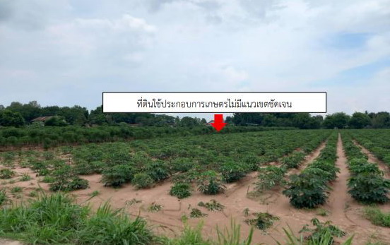 รูปที่ดินว่างเปล่า จำปี ศรีธาตุ อุดรธานี