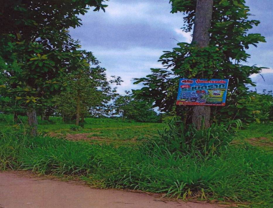 รูปที่ดินว่างเปล่า กุดดินจี่ นากลาง หนองบัวลำภู