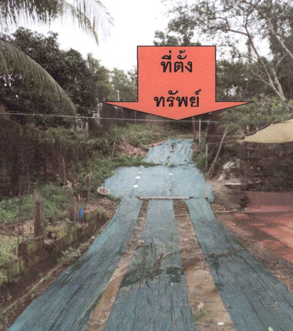 รูปที่ดินว่างเปล่า บางนอน เมือง ระนอง