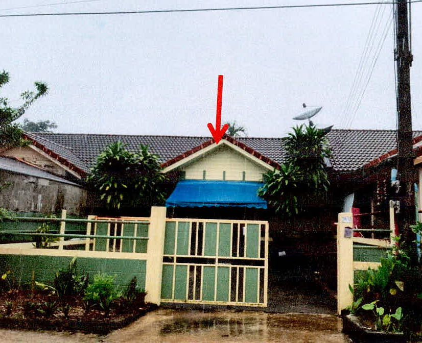 รูปที่ดินพร้อมสิ่งปลูกสร้าง บางริ้น เมือง ระนอง